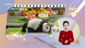 一级黄色大毛片